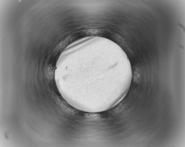 X0000102480476200808291631