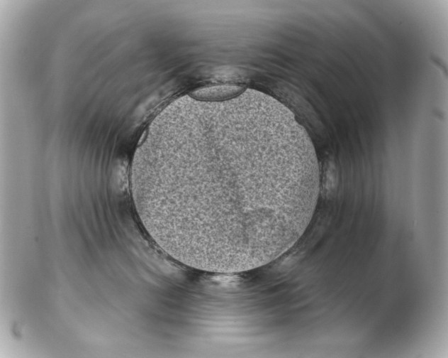 X0000102480478200808291631