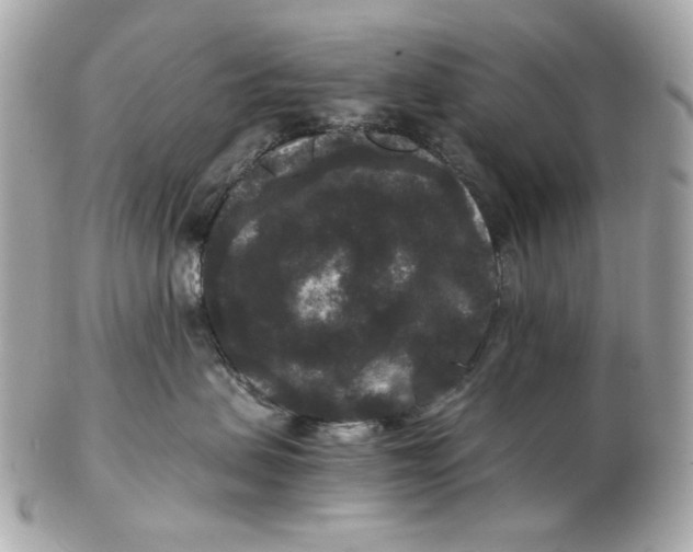 X0000102480479200808291631