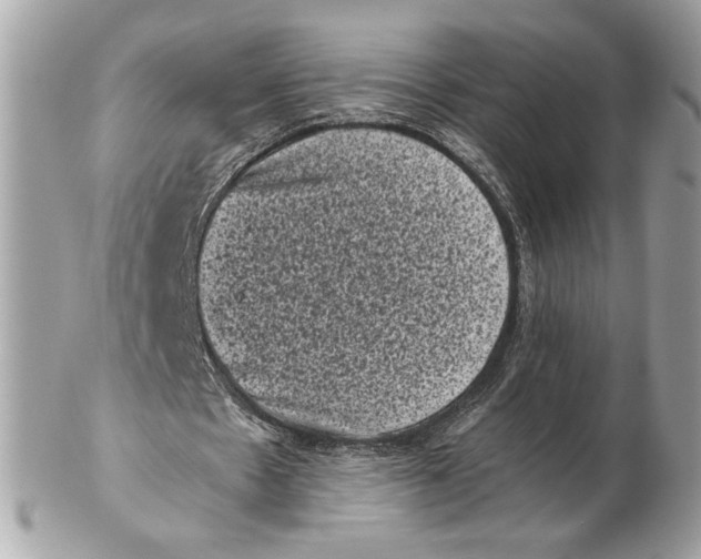 X0000102480481200808291630