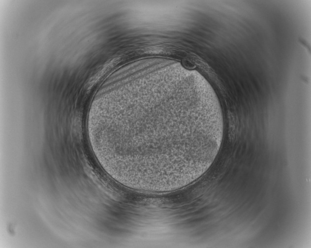 X0000102480482200808291630