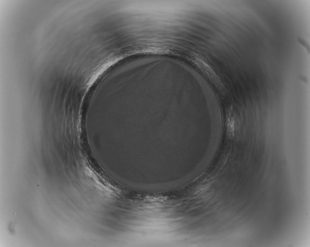 X0000102480484200808291630