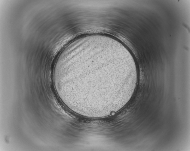 X0000102480485200808291630