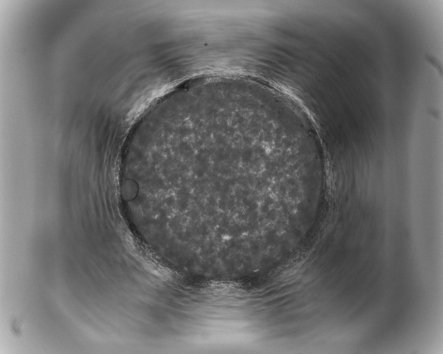 X0000102480487200808291630