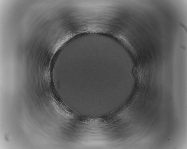 X0000102480488200808291630