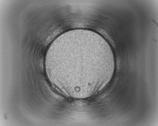 X0000102480489200808291630