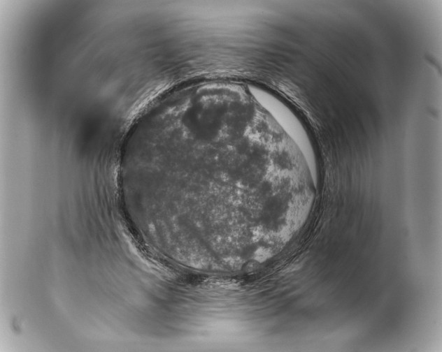 X0000102480491200808291630