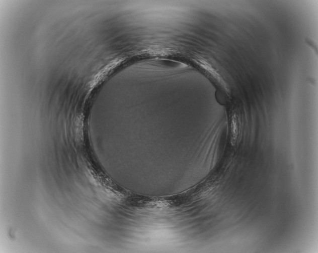 X0000102480492200808291630