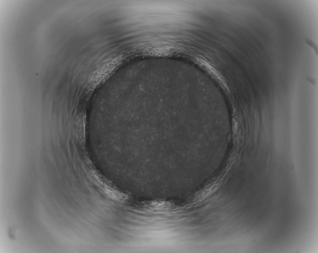 X0000102480493200808291630