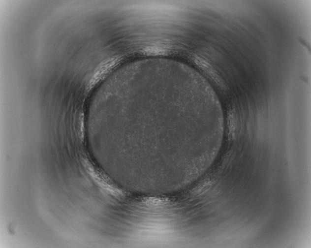 X0000102480494200808291630