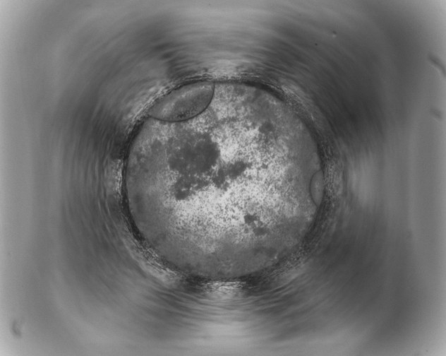 X0000102480495200808291630