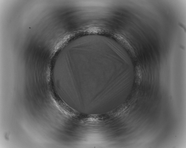 X0000102480496200808291630