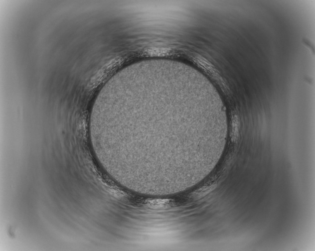 X0000102480497200808291630