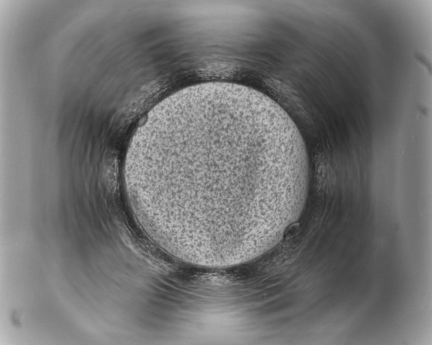 X0000102480498200808291630