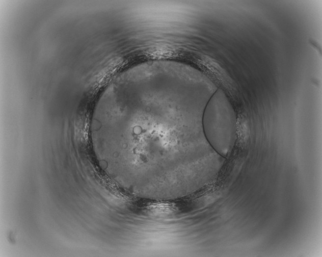 X0000102480499200808291630