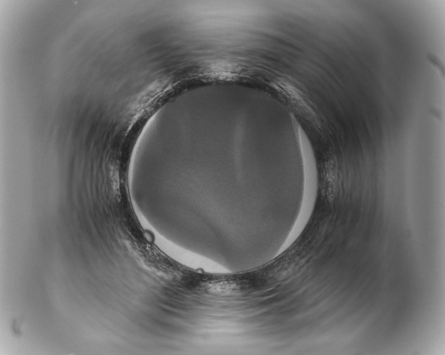 X0000102480500200808291630