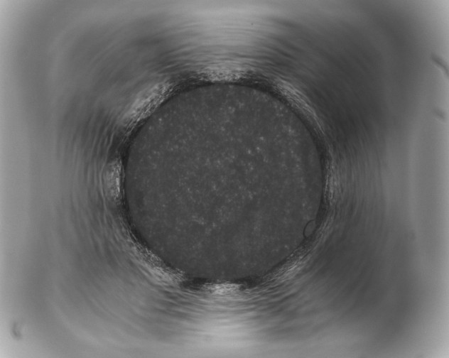 X0000102480501200808291630