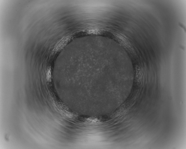 X0000102480502200808291630