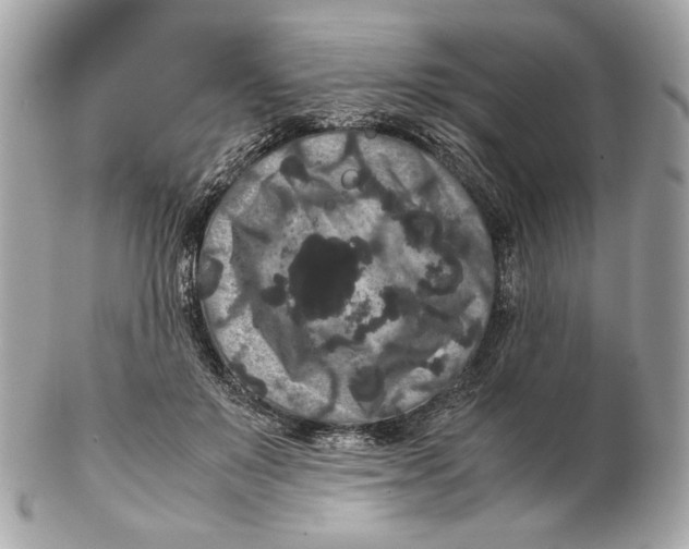 X0000102480503200808291630