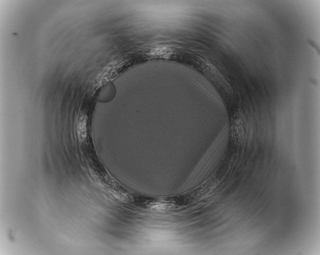 X0000102480504200808291630