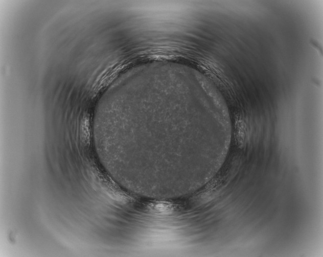 X0000102480506200808291630