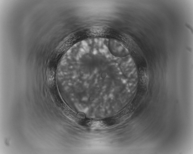 X0000102480507200808291630