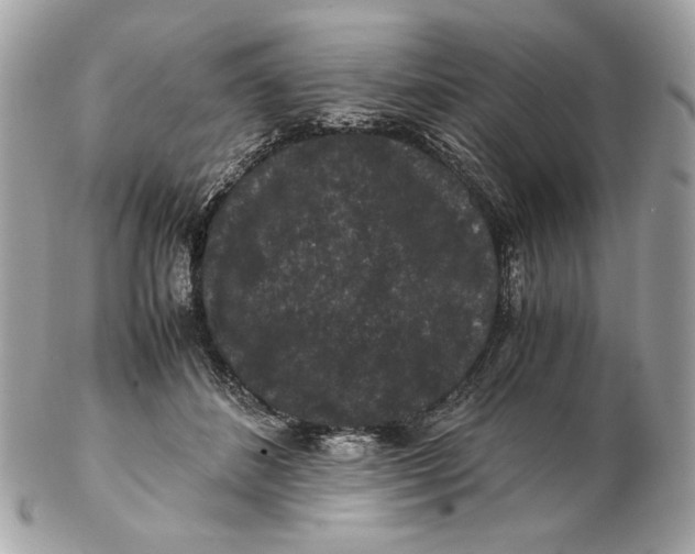 X0000102480508200808291630