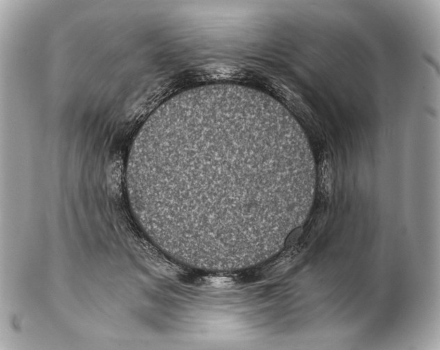 X0000102480509200808291630