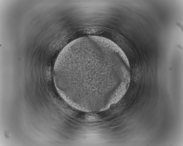 X0000102480510200808291630