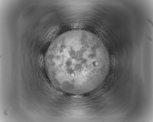 X0000102480511200808291630