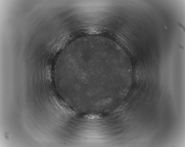 X0000102480512200808291630