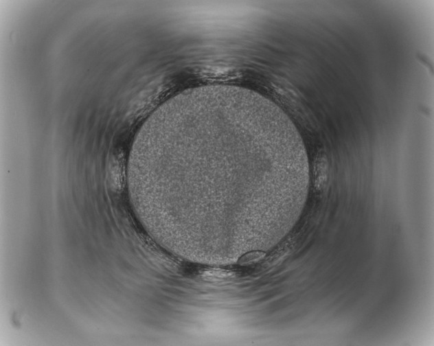 X0000102480515200808291630