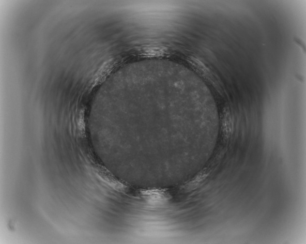 X0000102480516200808291630