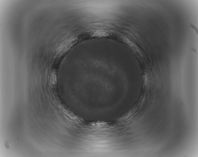 X0000102480517200808291630