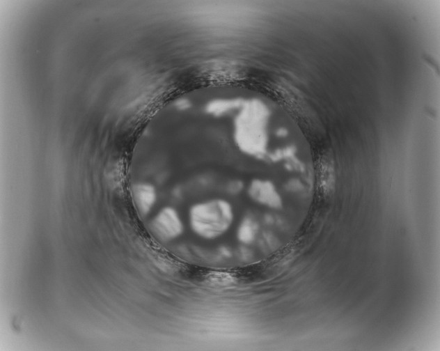 X0000102480519200808291630