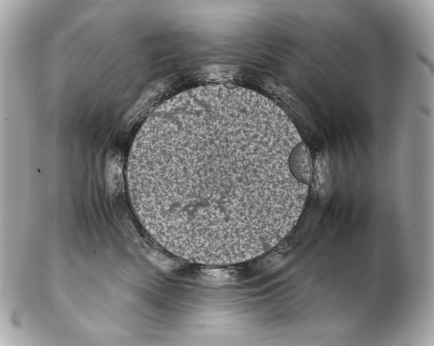 X0000102480522200808291630