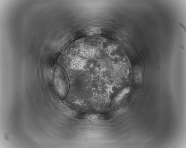 X0000102480523200808291630