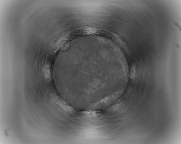 X0000102480524200808291630