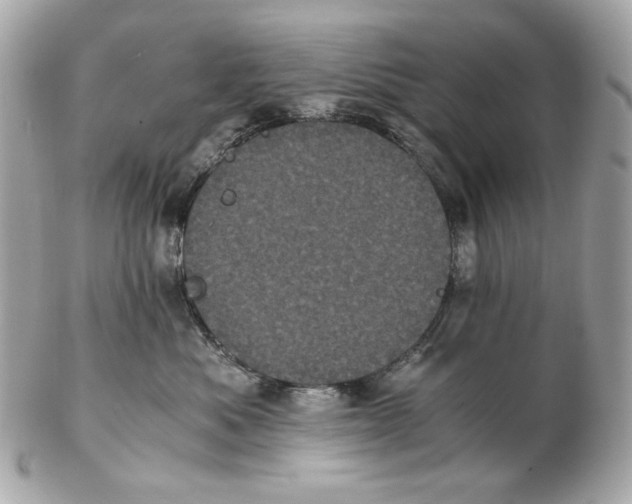 X0000102480525200808291630