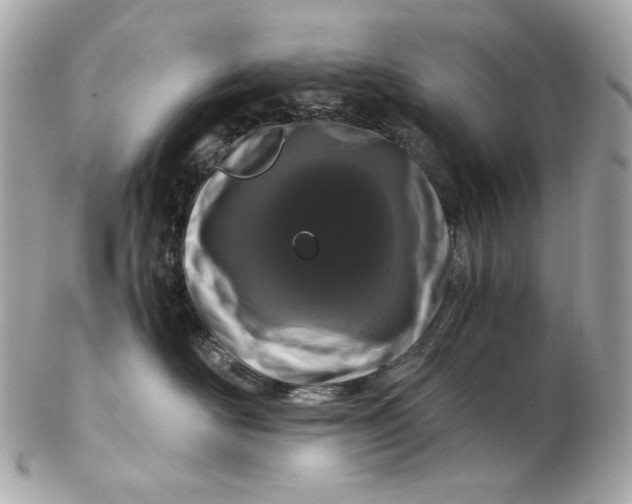 X0000102480526200808291630