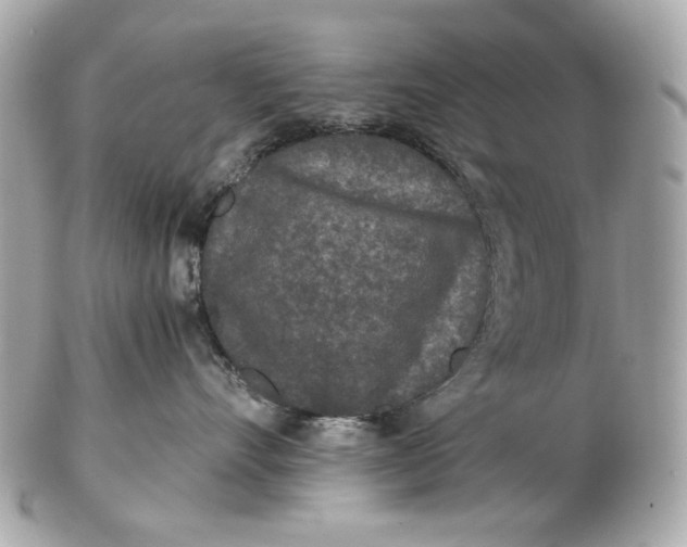 X0000102480528200808291630