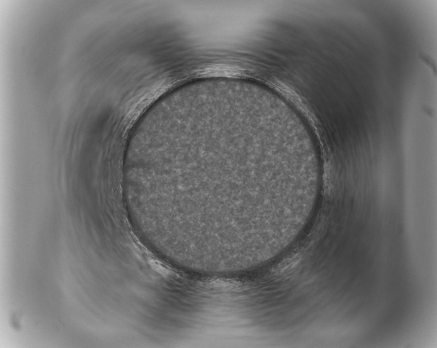 X0000102480529200808291629