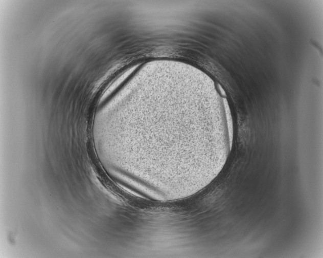 X0000102480530200808291629