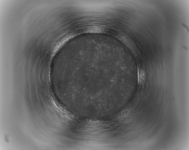 X0000102480531200808291629