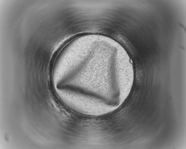 X0000102480532200808291629