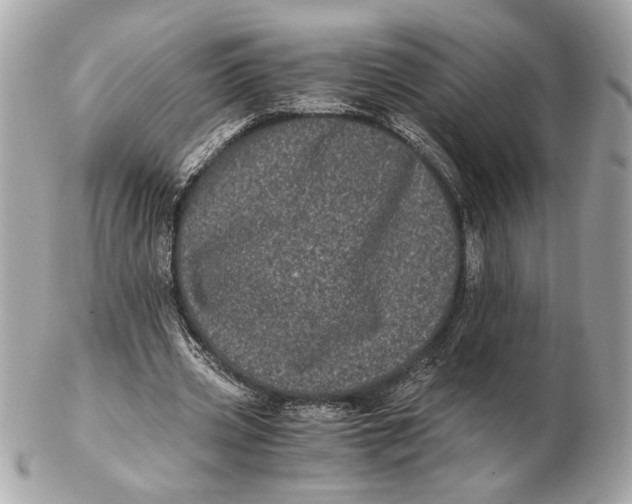 X0000102480533200808291629