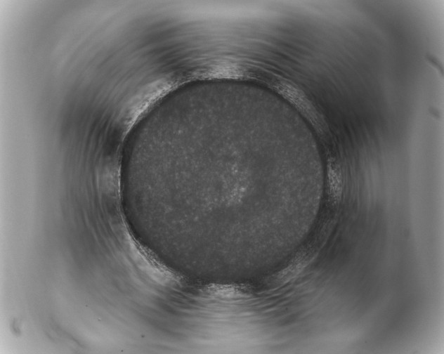 X0000102480534200808291629