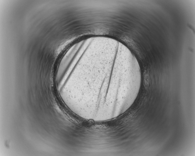 X0000102480536200808291629