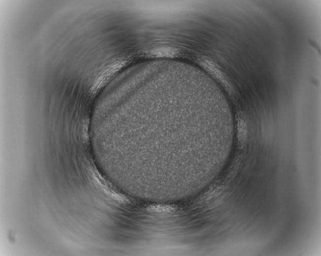 X0000102480537200808291629