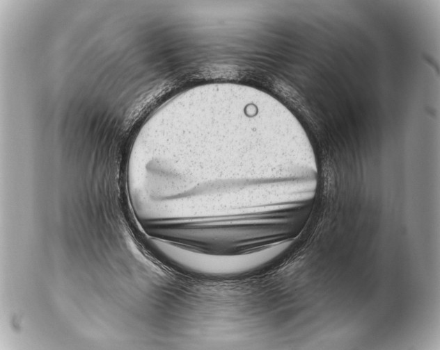 X0000102480538200808291629